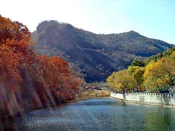 新澳天天开奖资料大全旅游团，福田惠普打印机维修